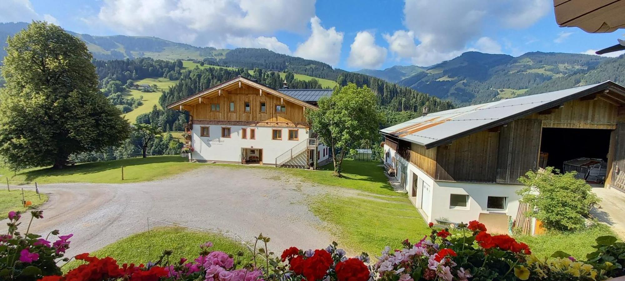 Villa Gumpoldbauer Maria Alm am Steinernen Meer Exterior foto